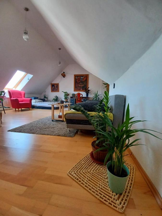 Artist Apartment Bańska Bystrzyca Zewnętrze zdjęcie